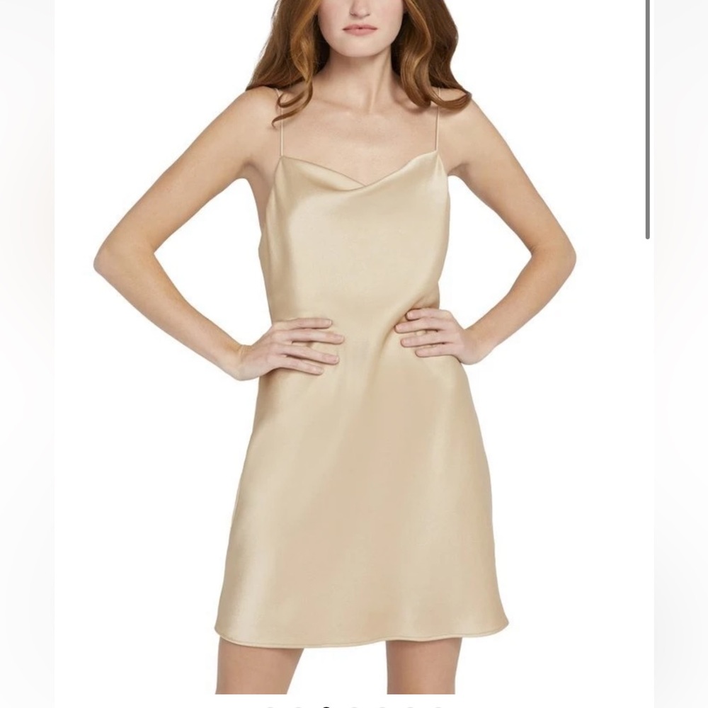 ALICE + OLIVIA Harmony Mini Slip Dress Size 4 (Nude/Champagne) NWT